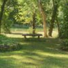 River Home Resort Off Site - Image 11