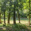 River Home Resort Off Site - Image 10