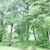 River Home Resort Off Site - Image 9